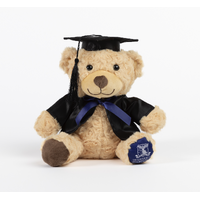 Soft Toy - Graduation Bear Medium